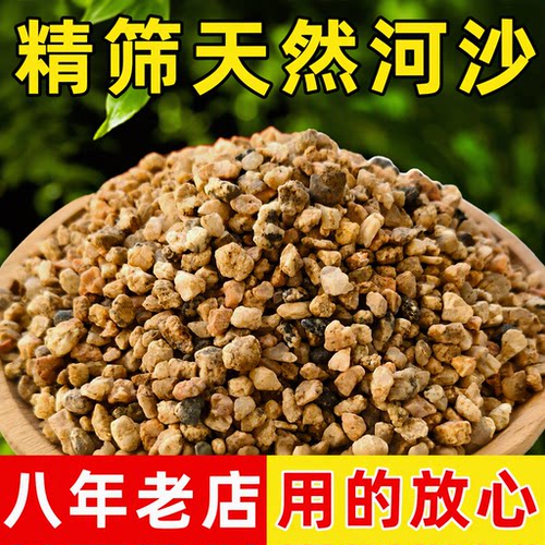 粗河沙火山石君子兰养花专用防止板结营养土鱼缸造景底砂水族铺底