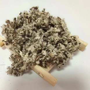 供应棉籽壳食用菌培育中壳中绒棉籽壳大棚培育木耳种植