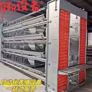 喂料设备 全自动化大层叠养蛋鸡设备 饮水 捡蛋 厂家批发 清粪