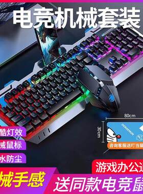 键盘 机械键盘滑鼠套组一拖二游戏专用键盘女生办公无线 线电脑台