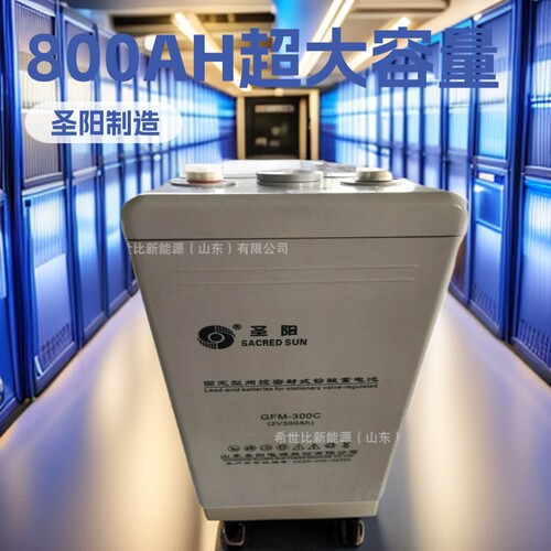 圣阳蓄电池2V800AH免维护铅酸蓄电池GFM-800C船舶铁路照明设备