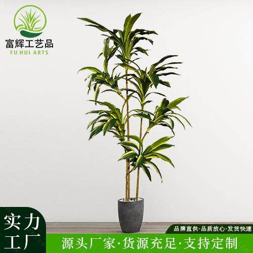巴西铁仿真高端绿植盆栽家居装扮假植物工程造景细杆巴西木批