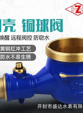 r智能物水表远程无l线抄表手机LXSY-2联网远传出租房预付费oa水表