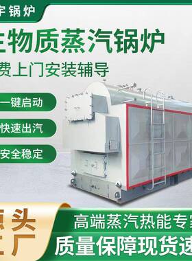 1吨2吨4吨6吨工业生物质蒸汽锅炉商用卧式燃煤锅炉厂家