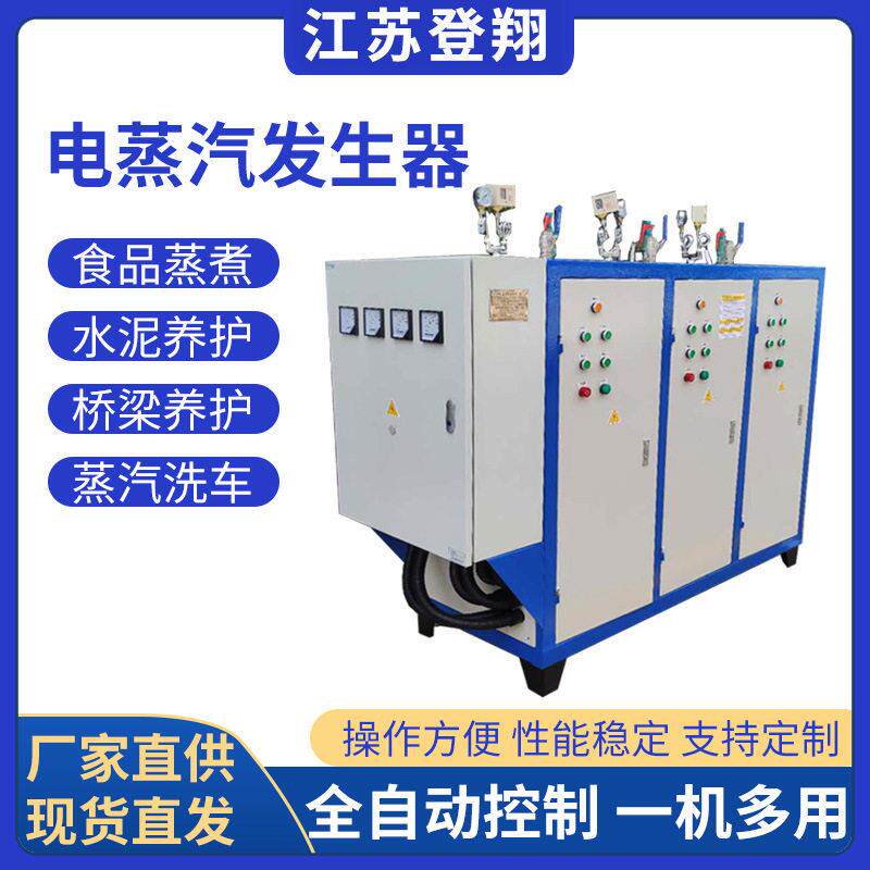全自动电加热蒸汽发生器工业用桥梁锅炉食品蒸煮商用小型节能加温