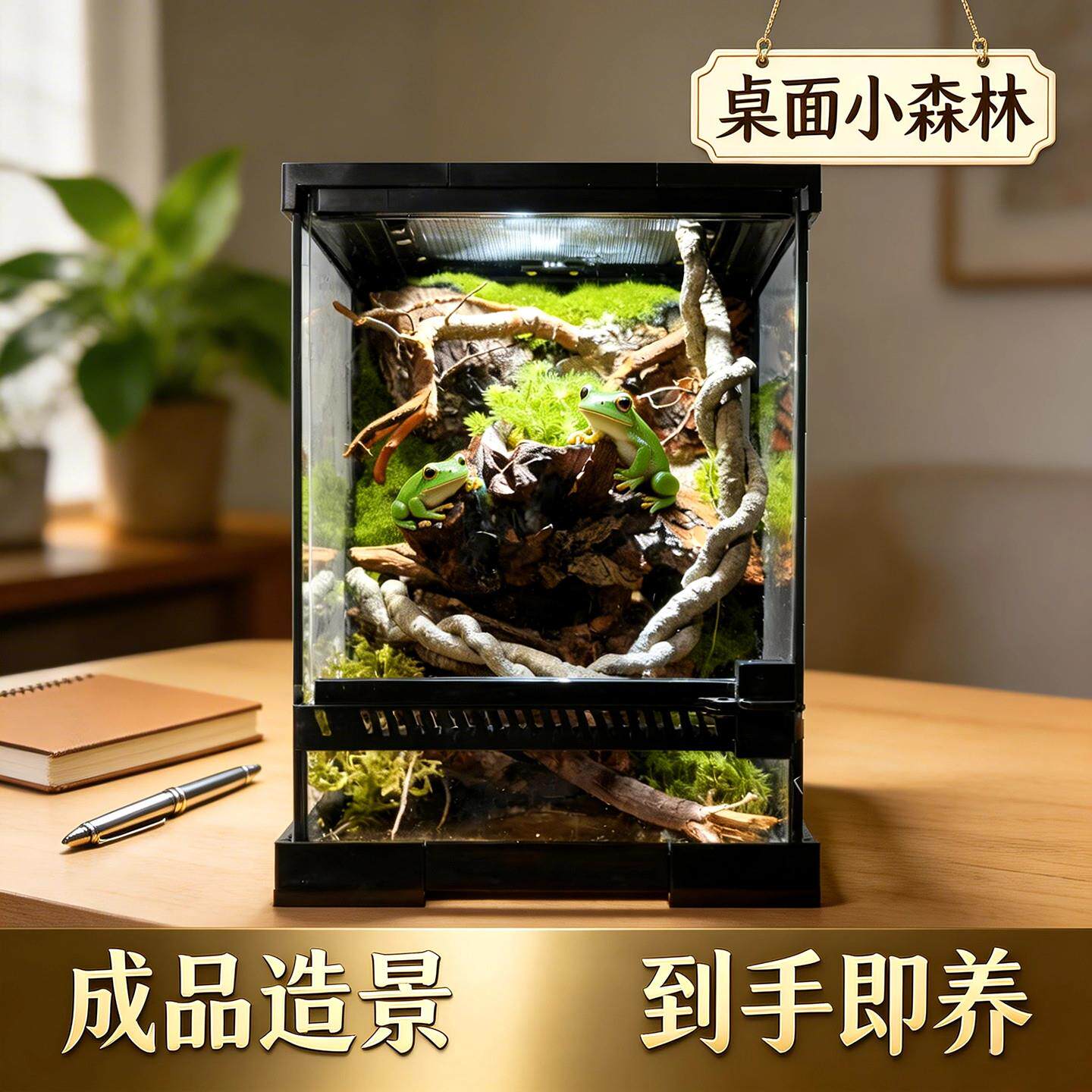 爬宠生态雨林缸造景全套桌面微景观树蛙蜥蜴饲养箱专用缸成品发货