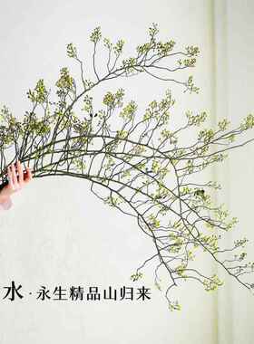 鲜切山归来天然植物干花花束客厅摆设侘寂风插花干树枝装饰摆件