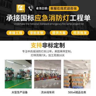 厂家直供双头应急照明灯防水隧道冰库写字楼走廊消防安全指示灯