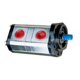 AFA装 载机双联齿轮泵 CB2A