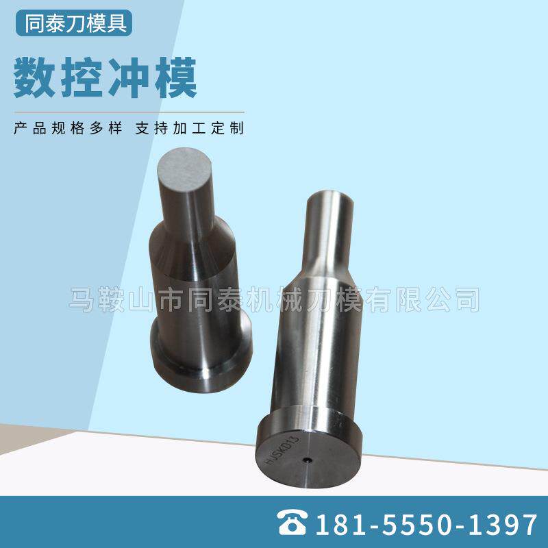 长期供应数控转塔冲非标准铁塔冲模圆形数控转塔冲模