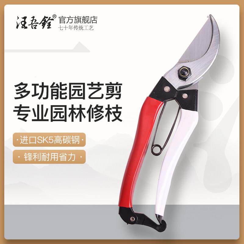 汪吾铨剪刀锋利sk5钢修枝剪粗叶园林园艺工具强力多功能果树剪刀