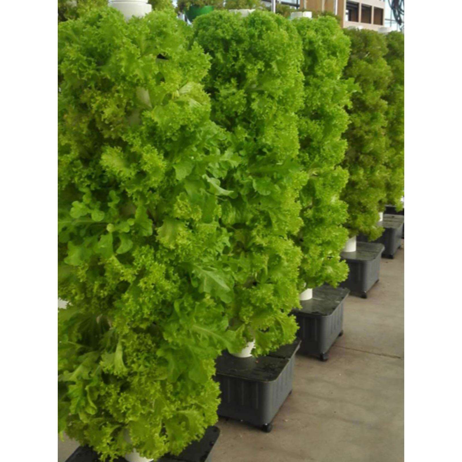 家庭种菜机阳台露旋转水培立柱无土栽培草莓花园楼顶生菜绿植室外