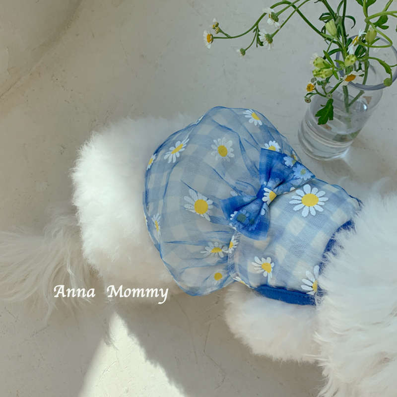 狗狗衣服春夏ins纱裙连衣裙子宠物服装泰迪博美比熊小型幼犬猫咪