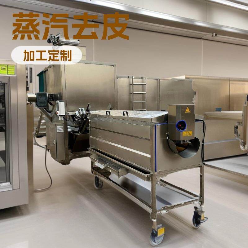 多功能西红柿蒸汽去皮机 洋柿子休闲食品加工设备