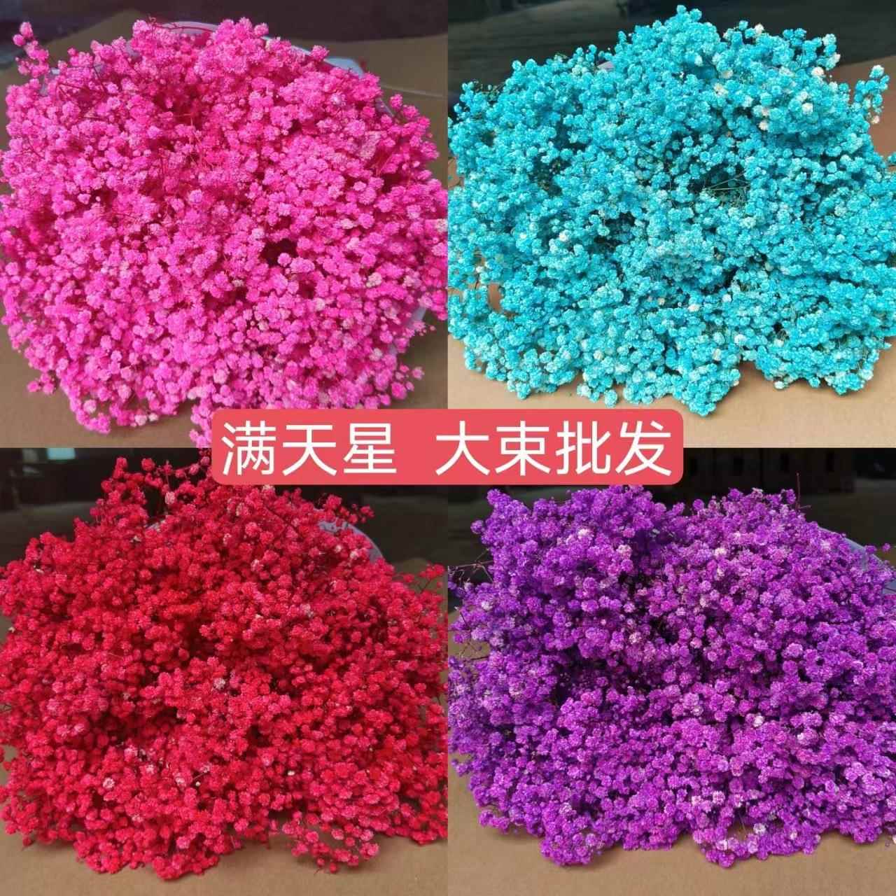 大束满天星干花花束真花鲜花论斤卖家用客厅摆件装饰插花中秋礼物