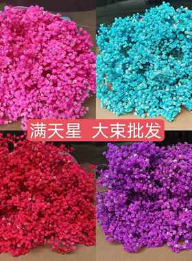 大束满天星干花花束真花鲜花论斤卖家用客厅摆件装饰插花中秋礼物