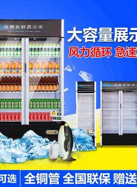 冷藏展示柜立式啤酒饮料柜玻璃门保鲜柜双门冷藏展示柜