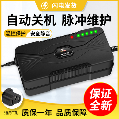 适用神州行电动车电瓶车充电器48V12AH60V20AH72伏鑫欣隆原装正品