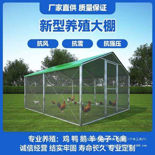 户外鸡棚鸡笼养鸡鸽笼家禽大型挡风孔雀防雨遮雨鸡舍搭建家用养殖