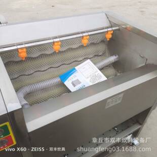 土豆洋芋芋头脱皮机商用小型不锈钢去皮清洗机毛辊清洗脱皮设备