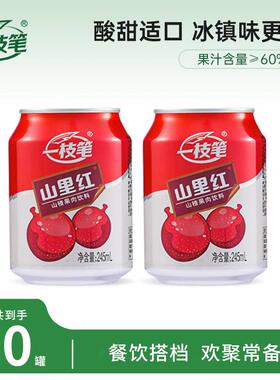 一枝笔山楂汁饮料245mLX10罐装山楂山里红果汁芒果汁梨汁满罐饮料