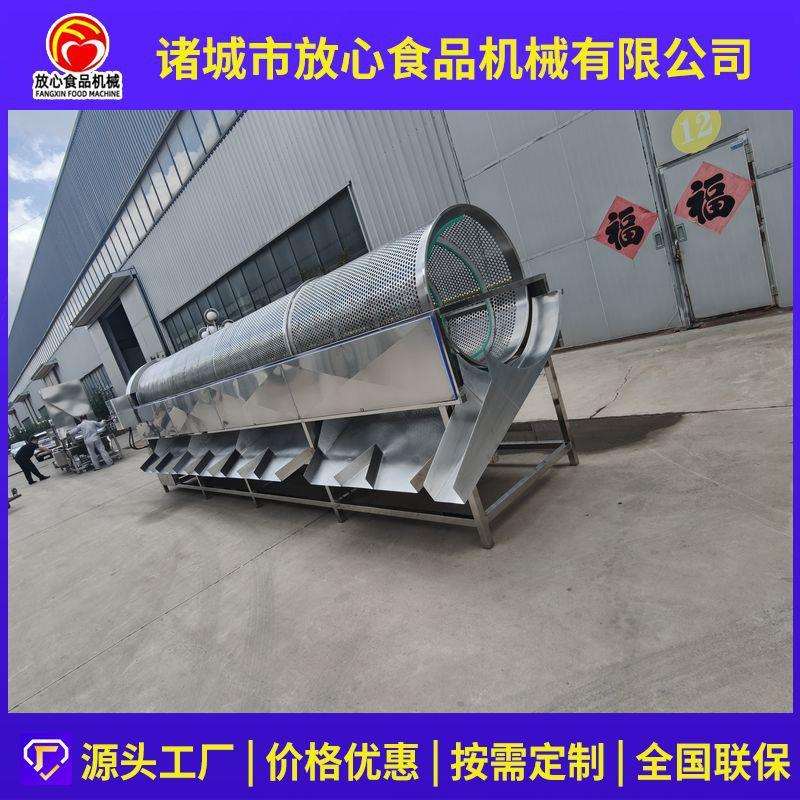 杨蓝莓分选机TLH用果蔬分拣设备西梅梅商龙眼分选机不高伤果效