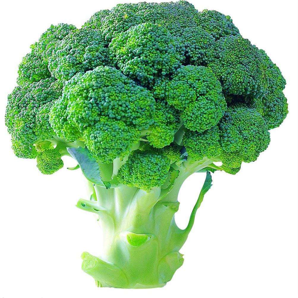 20:1西蓝花浓缩粉 1%萝卜硫素 天然西兰花精华原料粉 赠送量勺