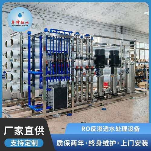 RO反渗透纯水设备 大型饮用水处理设备全自动纯净水处理设备