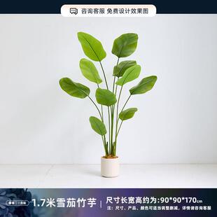 绿场景夏日造景道具冲浪板海洋植主题布置橱窗装 饰海边仿真摆件