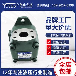 RAA 高压定量叶片泵PVR50FF 31油泵