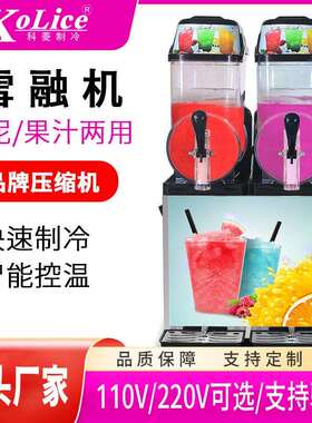 双缸雪融机商用雪泥机不锈钢双缸果汁机饮料机雪泥冷饮机冰沙