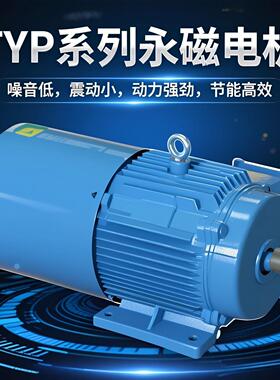 永磁交流电机TYP系列永磁变频同步电动机
