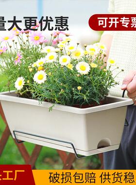 阳台霍伦种菜盆家用盆栽植物长方形种菜专用盆配挂架套装 一件代