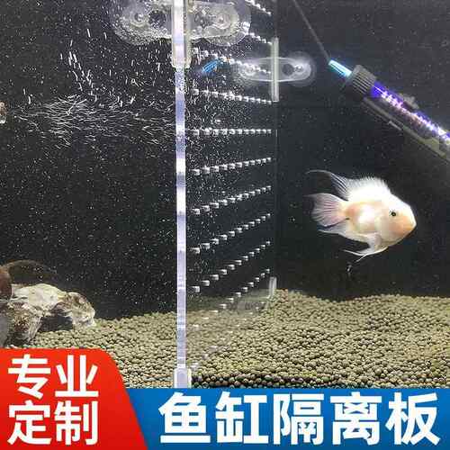 鱼缸隔离板隔板隔断挡板亚克力透明分隔龟缸水族箱小鱼苗隔离网