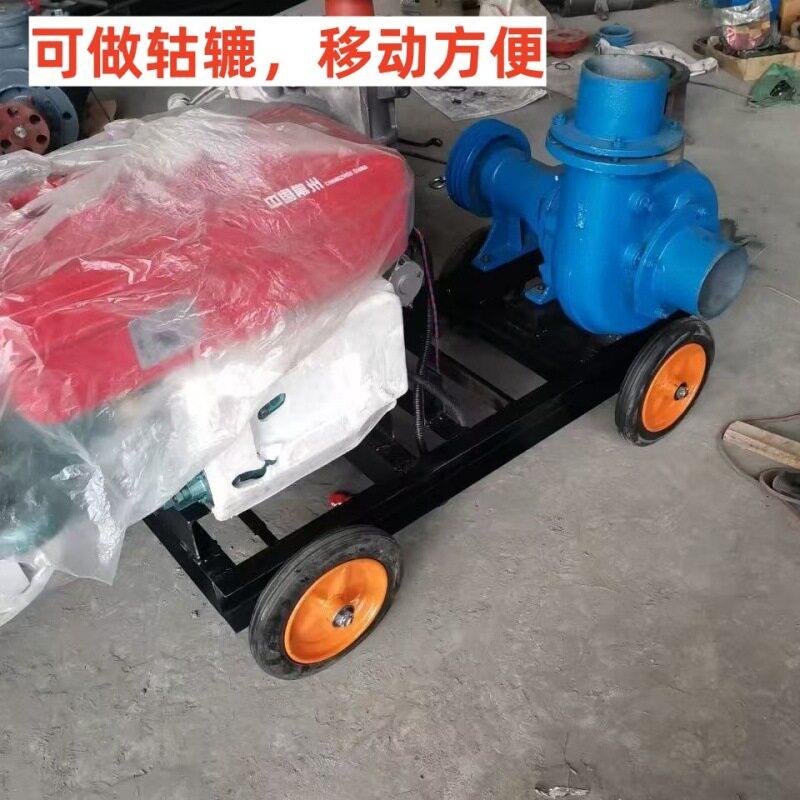 卧式抽沙泵吸砂泵吸沙机泥浆泵河底小型耐磨柴油机池塘淤泥排污泵