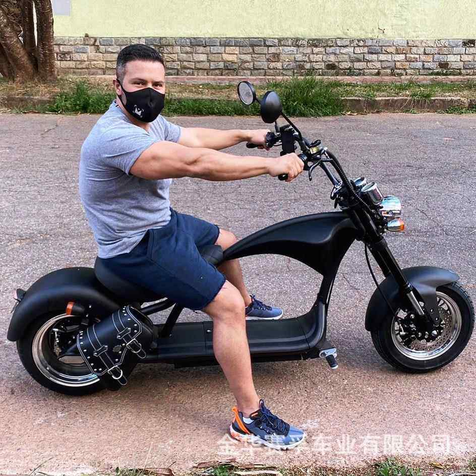 EEC厂家直供 哈雷电动车成人双锂电池可拆卸电动自行车铝轮款电摩