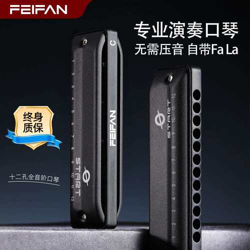 飞繁12孔全音阶口琴带FaLa布鲁斯口琴入门初学专业演奏乐器