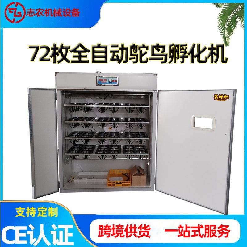 工厂定制72枚全自动鸵鸟蛋孵化器鸵鸟用智能型孵蛋机大型孵化机