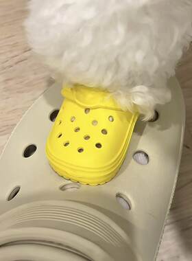 比熊小狗洞洞鞋透气宠物玩具鞋狗狗鞋子夏季拍照道具可爱迷你拖鞋