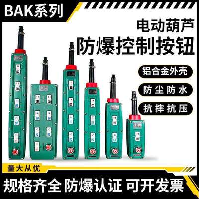 起重机行车防爆电动葫芦控制手柄操作按钮开关BAK21/31/41/51/71