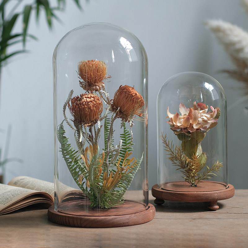 植物标本干燥花花艺摆件家居创意花瓶软装样板间书房橱窗展示台陈
