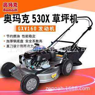 后排除草机21寸 奥玛克530X草坪机GXV160动力汽油剪草机手推式