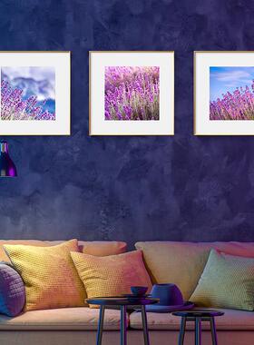粉紫色薰衣草装饰画客厅卧室餐厅风景挂画玄关办公室房间背景墙画