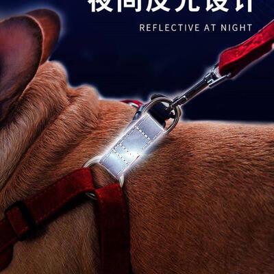 vest type dog traction rope small walking rope cat狗狗牵引绳