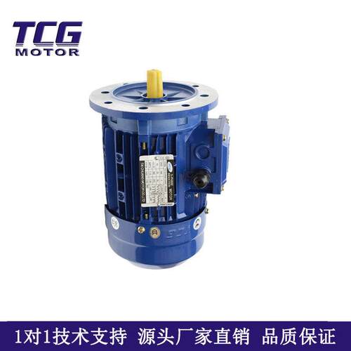 厂家直供TCG 卧立式三相异步铝壳电动机3KW可配置刹车 4极电机