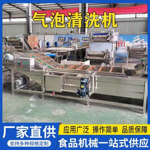 厂家定制洗果机蔓越莓樱桃清洗设备青梅杨梅李子气泡清洗流水线