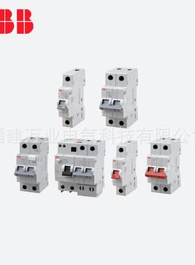 ABB微型漏电断路器2TAZ227111R2254；GSE201AC-C25/0.03