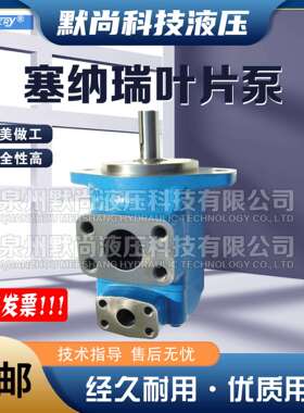 塞纳瑞SCENERY叶片泵S2520V/S3520V/S3525V/S4520V/S4520双联油泵