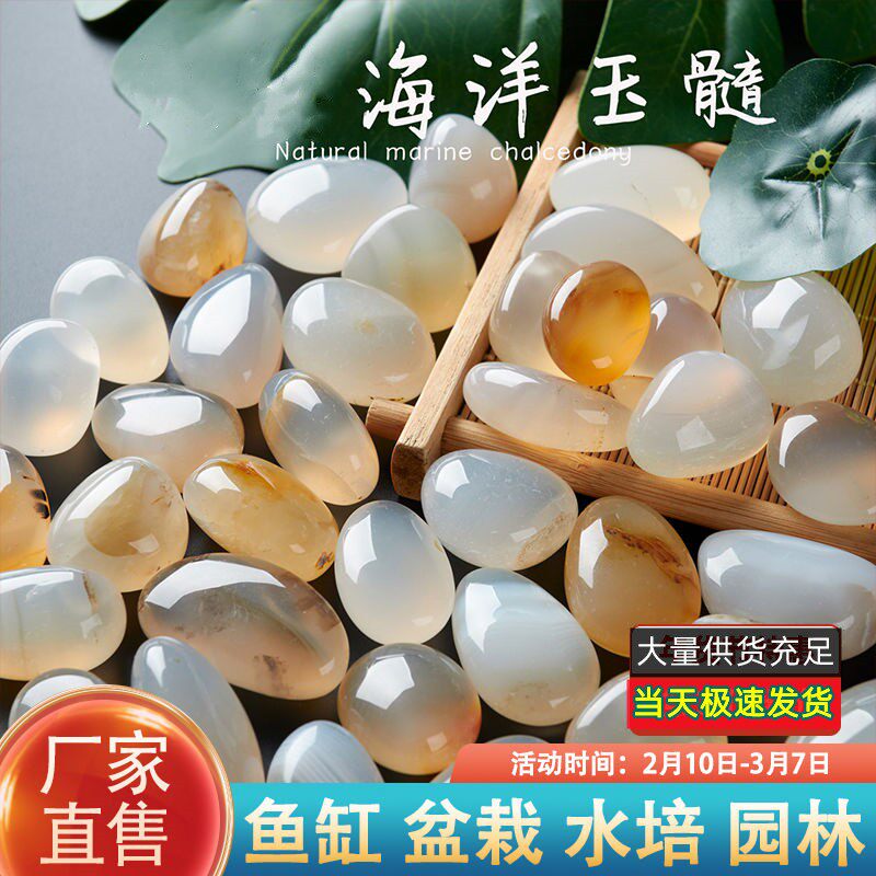 海洋玉髓原石曼扎雨花石鹅卵石花盆水培水仙子鱼缸花瓶小石头景石