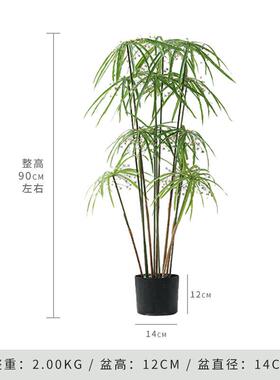 高级仿真风车草竹绿大型仿生植水盆仿真绿植栽造景物客厅落地假植